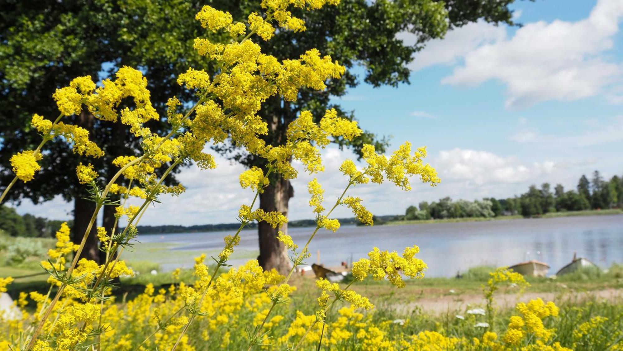 Komplett Laegenhet Med Sjoeutsikt Malmon エクステリア 写真